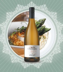 CODE CÉPAGES - PINOT GRIS 2021