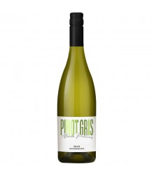 PINOT GRIS 2024